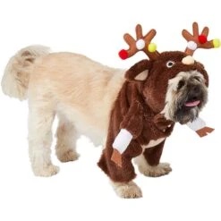 Frisco Front Walking Reindeer Dog & Cat Costume, 1 Count 14 Frisco Front Walking Reindeer Dog & Cat Costume, 1 Count -Blue Buffalo Shop 228790 PT3. AC SS1800 V1631299657