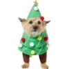 Frisco Front Walking Christmas Tree Dog & Cat Costume 2 Frisco Front Walking Christmas Tree Dog & Cat Costume -Blue Buffalo Shop 229164 MAIN. AC SS1800 V1631300529
