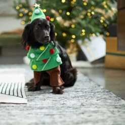 Frisco Front Walking Christmas Tree Dog & Cat Costume 14 Frisco Front Walking Christmas Tree Dog & Cat Costume -Blue Buffalo Shop 229164 PT7. AC SS1800 V1601385981