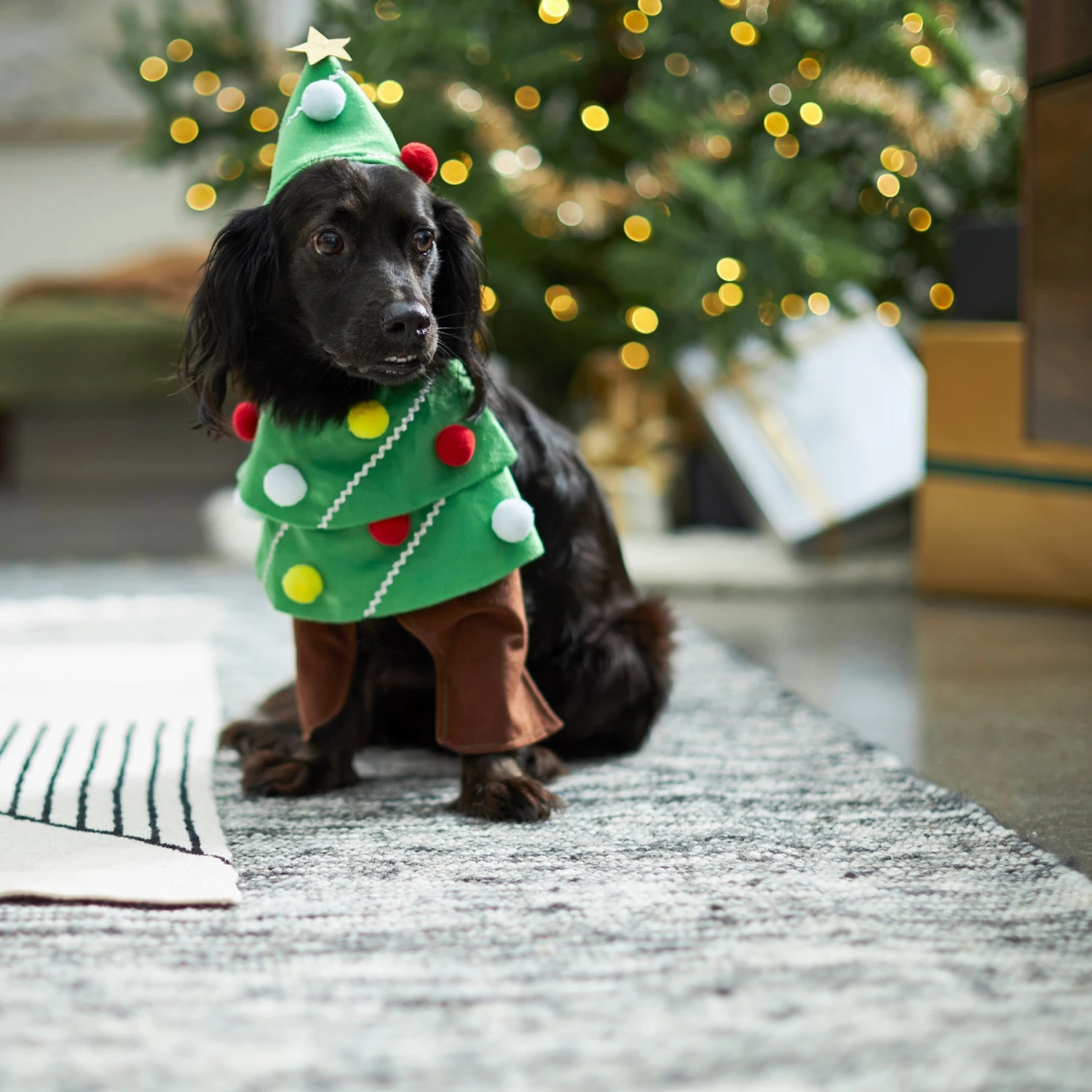 Frisco Front Walking Christmas Tree Dog & Cat Costume 8 Frisco Front Walking Christmas Tree Dog & Cat Costume - Image 6