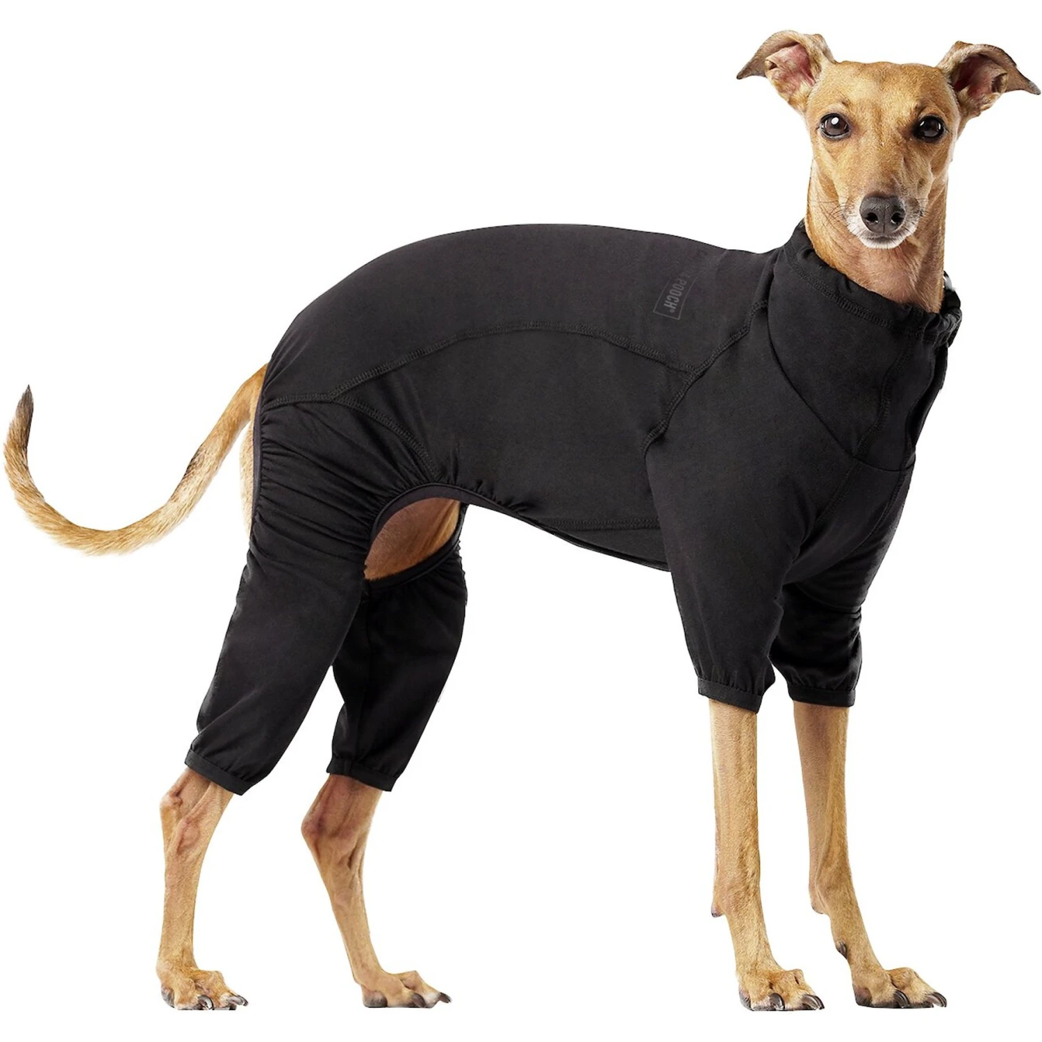Canada Pooch Thermal Layer Dog Onesie, Black 3 Canada Pooch Thermal Layer Dog Onesie, Black