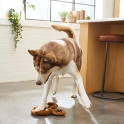 Disney Mickey Mouse Donut Plush Squeaky Dog Toy -Blue Buffalo Shop 230753 PT2. AC SS1800 V1612364822