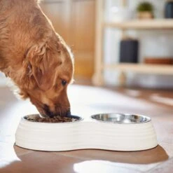 Frisco Stainless Steel Double Dog Bowls With Melamine Stand -Blue Buffalo Shop 232092 PT7. AC SS1800 V1693015855
