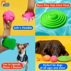 Hartz DuraPlay Disc Bacon Scented Dog Toy, Color Varies -Blue Buffalo Shop 232936 PT5. AC SS1800 V1661201759