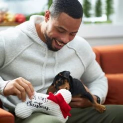 Frisco Holiday My First Christmas Bone Plush Squeaky Dog Toy 10 Frisco Holiday My First Christmas Bone Plush Squeaky Dog Toy -Blue Buffalo Shop 233166 PT2. AC SS1800 V1601304755