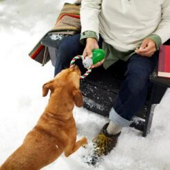 Frisco Holiday Christmas Light Rope With TPR Squeaky Dog Toy 9 Frisco Holiday Christmas Light Rope With TPR Squeaky Dog Toy -Blue Buffalo Shop 233278 PT2. AC SS1800 V1601641574