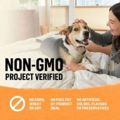 Purina Beyond Organic Chicken & Carrot Recipe Wet Dog Food, 13-oz Can, Case Of 12 -Blue Buffalo Shop 233685 PT6. AC SS1800 V1700160420