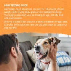 Purina Beyond Organic Chicken & Carrot Recipe Wet Dog Food, 13-oz Can, Case Of 12 -Blue Buffalo Shop 233685 PT8. AC SS1800 V1700160144