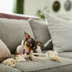 Frisco Double Knot Cotton Rope Fetch Dog Toy -Blue Buffalo Shop 242155 PT2. AC SS1800 V1605208728