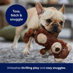 Frisco Bear Plush Squeaky Dog Toy -Blue Buffalo Shop 245924 PT4. AC SS1800 V1695760929