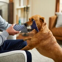 Bones & Chews Rope Whale Crinkle With Bone Dog Toy, 12" 8 Bones & Chews Rope Whale Crinkle With Bone Dog Toy, 12" -Blue Buffalo Shop 247067 PT2. AC SS1800 V1604961431