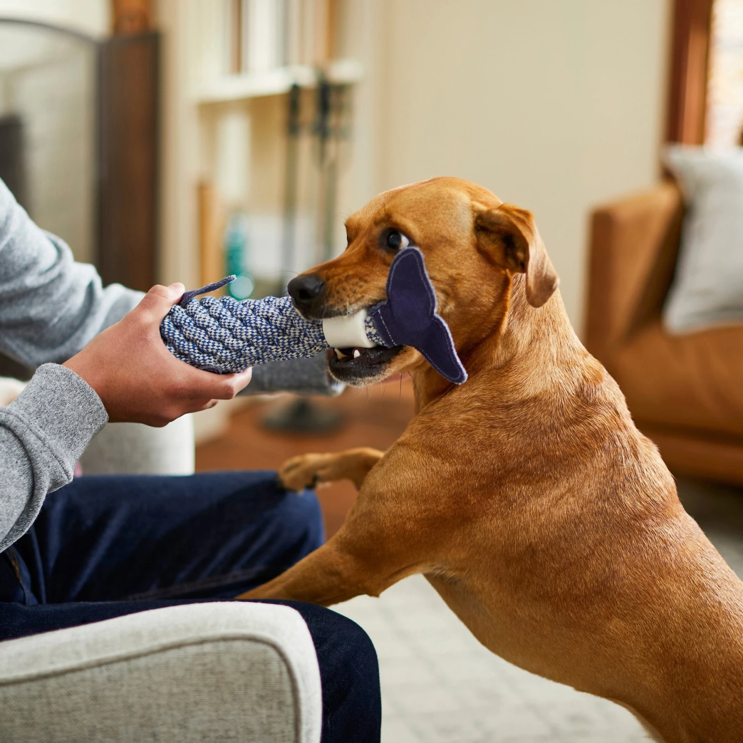 Bones & Chews Rope Whale Crinkle With Bone Dog Toy, 12" 5 Bones & Chews Rope Whale Crinkle With Bone Dog Toy, 12" - Image 3