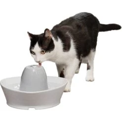 PetSafe Creekside Quiet Dog & Cat Fountain, 60-oz -Blue Buffalo Shop 247077 PT7. AC SS1800 V1608081821