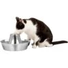 PetSafe Seaside Stainless Steel Cat Water Fountain, 60-oz -Blue Buffalo Shop 247079 MAIN. AC SS1800 V1663967483