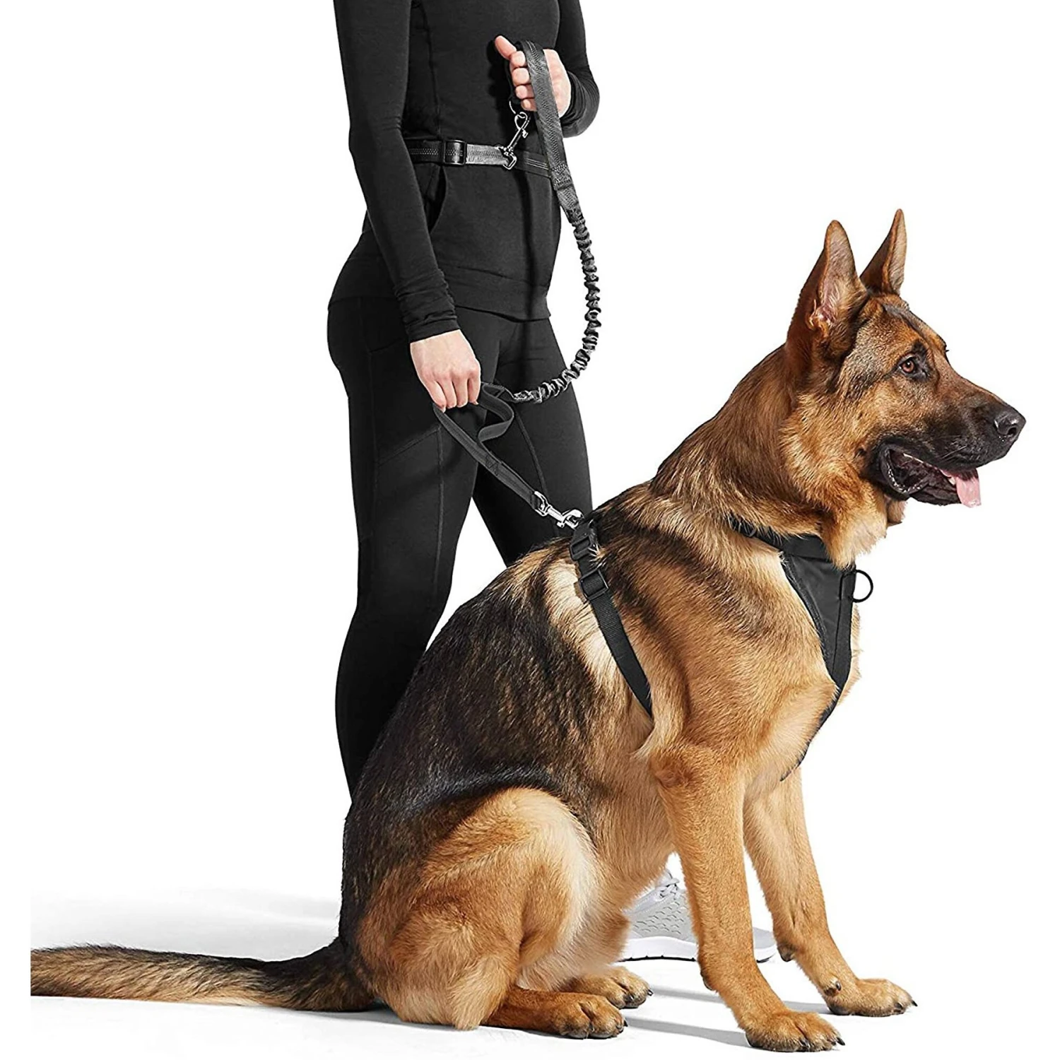 Jespet Bungee Reflective Standard Dog Leash 5 Jespet Bungee Reflective Standard Dog Leash - Image 3