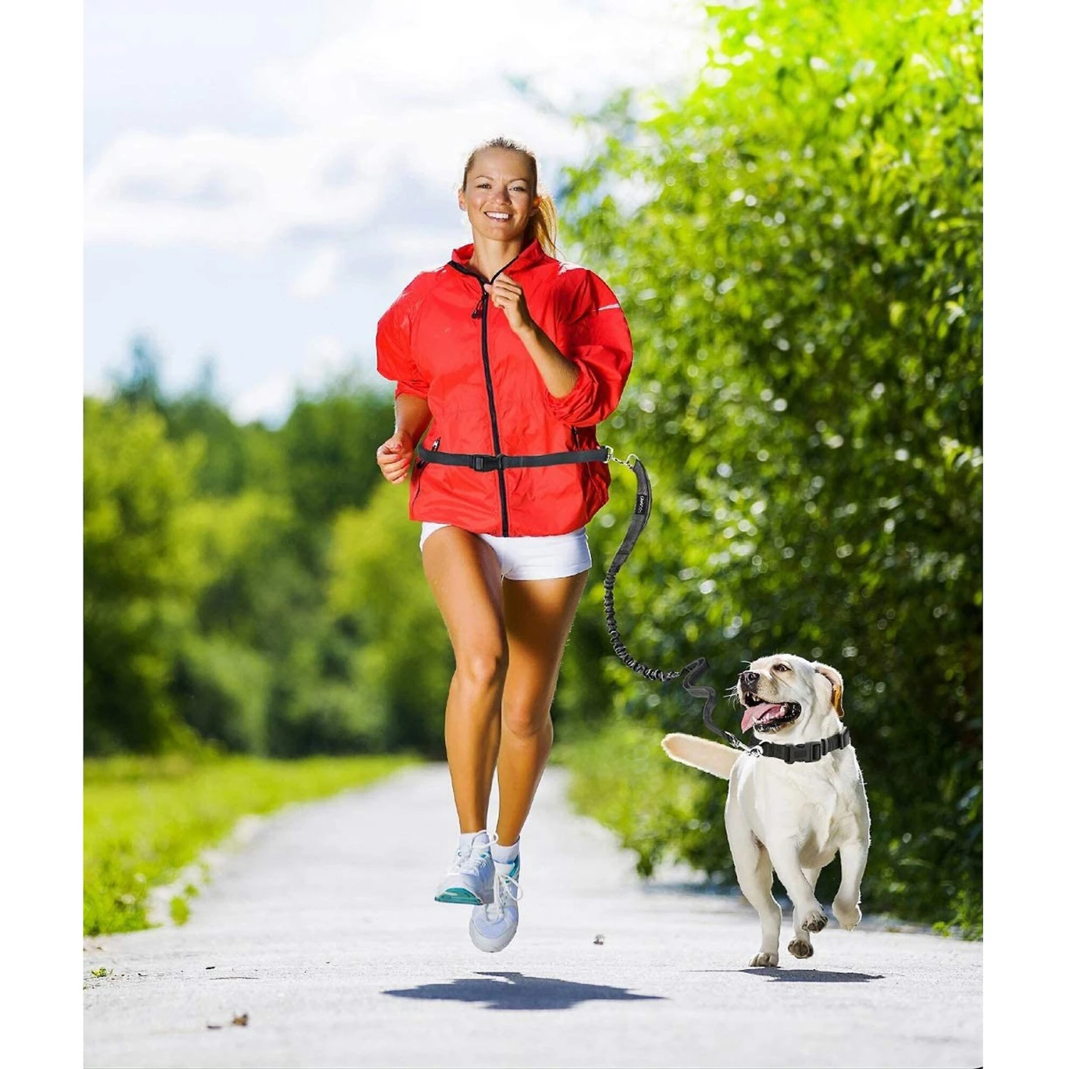 Jespet Bungee Reflective Standard Dog Leash 7 Jespet Bungee Reflective Standard Dog Leash - Image 5