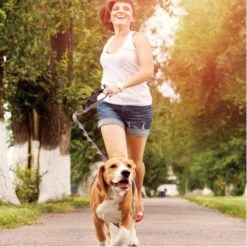 Jespet Bungee Reflective Standard Dog Leash 14 Jespet Bungee Reflective Standard Dog Leash -Blue Buffalo Shop 248115 PT5. AC SS1800 V1597874844