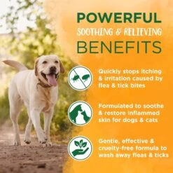 TropiClean Natural Flea & Tick Bite Relief Dog Spray, 8-oz Bottle -Blue Buffalo Shop 248267 PT6. AC SS1800 V1684452914