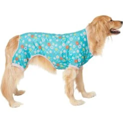 Frisco Teal Floral Dog & Cat Jersey PJs 11 Frisco Teal Floral Dog & Cat Jersey PJs -Blue Buffalo Shop 249132 PT2. AC SS1800 V1637674341