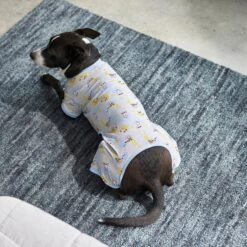 Frisco Sleepy Sloths Dog & Cat Jersey PJs 11 Frisco Sleepy Sloths Dog & Cat Jersey PJs -Blue Buffalo Shop 249144 PT7. AC SS1800 V1614369158