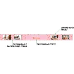 Frisco "Paws Off" Ceramic Personalized Dog & Cat Bowl 7 Frisco "Paws Off" Ceramic Personalized Dog & Cat Bowl -Blue Buffalo Shop 250829 PT1. AC SS1800 V1602686183