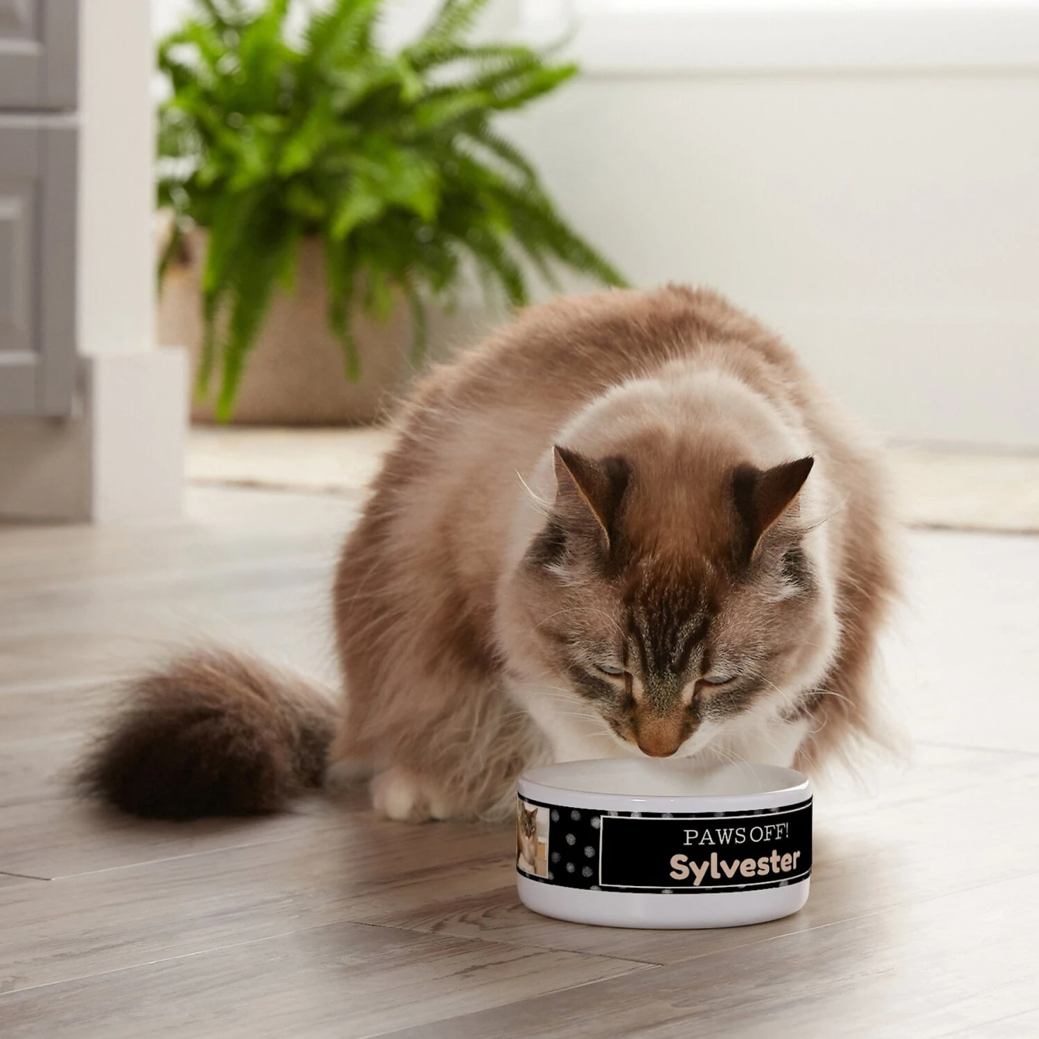 Frisco "Paws Off" Ceramic Personalized Dog & Cat Bowl 6 Frisco "Paws Off" Ceramic Personalized Dog & Cat Bowl - Image 4