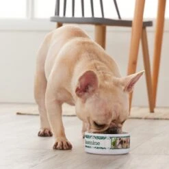 Frisco Boho Damask Ceramic Personalized Dog & Cat Bowl -Blue Buffalo Shop 250833 PT3. AC SS1800 V1610758070