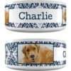 Frisco Boho Damask Ceramic Personalized Dog Bowl 1 Frisco Boho Damask Ceramic Personalized Dog Bowl -Blue Buffalo Shop 250835 MAIN. AC SS1800 V1602632496