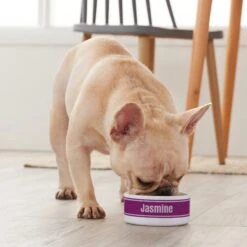 Frisco Preppy Stripes Ceramic Personalized Dog & Cat Bowl 9 Frisco Preppy Stripes Ceramic Personalized Dog & Cat Bowl -Blue Buffalo Shop 250837 PT3. AC SS1800 V1610764911