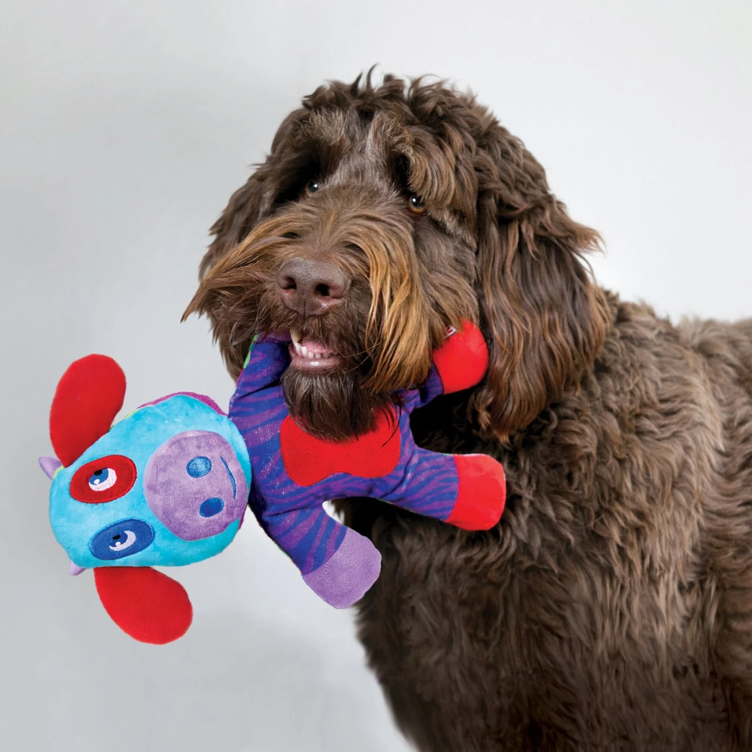 KONG Switcheroos Assorted Dog Toy, Large 5 KONG Switcheroos Assorted Dog Toy, Large - Image 3