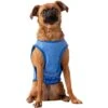 GF Pet Elastofit Ice Dog Vest 2 GF Pet Elastofit Ice Dog Vest -Blue Buffalo Shop 251472 MAIN. AC SS1800 V1599642396