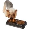 Frisco Copper Stainless Steel Double Dog & Cat Bowls With Black Marble Stand -Blue Buffalo Shop 253058 MAIN. AC SS1800 V1616075012