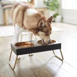 Frisco Copper Stainless Steel Elevated Foldable Double Dog & Cat Bowls -Blue Buffalo Shop 253060 PT2. AC SS1800 V1616594243