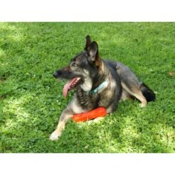 Playology Scented Squeaky Chew Stick Dog Toy 14 Playology Scented Squeaky Chew Stick Dog Toy -Blue Buffalo Shop 254311 PT5. AC SS1800 V1697481452