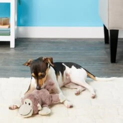 Frisco Monkey Plush Squeaky Dog Toy & Frisco Fox Plush Squeaky Dog Toy 9 Frisco Monkey Plush Squeaky Dog Toy & Frisco Fox Plush Squeaky Dog Toy -Blue Buffalo Shop 255597 PT2. AC SS1800 V1602702685