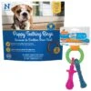 Nylabone Puppy Pacifier Teething Toy Chew Teething Pacifier Bacon & N-Bone Puppy Teething Ring Chicken Flavor Dog Treats -Blue Buffalo Shop 255739 MAIN. AC SS1800 V1603137081
