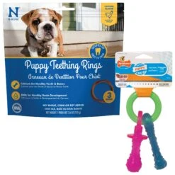 Nylabone Puppy Pacifier Teething Toy Chew Teething Pacifier Bacon & N-Bone Puppy Teething Ring Chicken Flavor Dog Treats