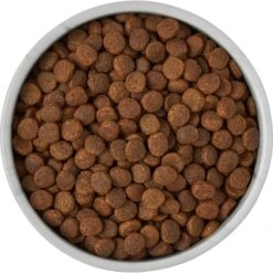 Frisco Marble Design Non-skid Ceramic Dog & Cat Bowl 15 Frisco Marble Design Non-skid Ceramic Dog & Cat Bowl -Blue Buffalo Shop 256056 PT6. AC SS1800 V1615310860