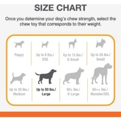 Nylabone Power Chew Tough Chew Toys For Dogs Bundle Beef & Cheese -Blue Buffalo Shop 256133 PT3. AC SS1800 V1688157175