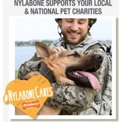 Nylabone Power Chew Tough Chew Toys For Dogs Bundle Beef & Cheese -Blue Buffalo Shop 256133 PT7. AC SS1800 V1688390858