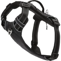 Frisco Outdoor Premium Ripstop Nylon Dog Harness With Pocket 10 Frisco Outdoor Premium Ripstop Nylon Dog Harness With Pocket -Blue Buffalo Shop 256485 PT3. AC SS1800 V1625156290