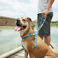 Frisco Outdoor Two Tone Waterproof Stinkproof PVC Dog Harness -Blue Buffalo Shop 256580 PT5. AC SS1800 V1625588974
