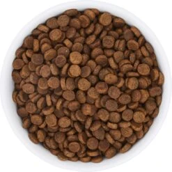 Frisco Bohemian Non-Skid Stainless Steel Dog & Cat Bowl -Blue Buffalo Shop 257195 PT4. AC SS1800 V1615311089