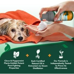 Vet's Best Flea & Tick Prevention Waterless Bath Dog Shampoo, 8-oz Bottle -Blue Buffalo Shop 258866 PT6. AC SS1800 V1604107899