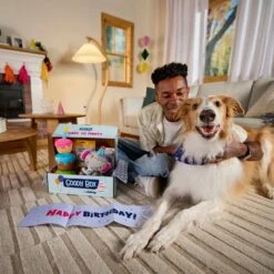 Goody Box Birthday Dog Toys & Treats -Blue Buffalo Shop 259001 PT2. AC SS1800 V1689886669