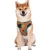 Fetch For Pets Scooby Doo Basic Dog Harness -Blue Buffalo Shop 259050 MAIN. AC SS1800 V1625174562