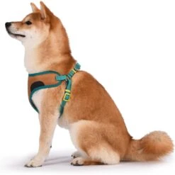 Fetch For Pets Scooby Doo Basic Dog Harness -Blue Buffalo Shop 259050 PT3. AC SS1800 V1604531501