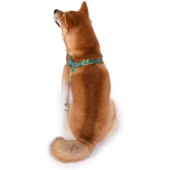 Fetch For Pets Scooby Doo Basic Dog Harness -Blue Buffalo Shop 259050 PT4. AC SS1800 V1604528203