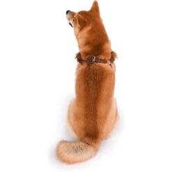 Fetch For Pets Star Wars Chewbacca Basic Dog Harness -Blue Buffalo Shop 259053 PT4. AC SS1800 V1604529706