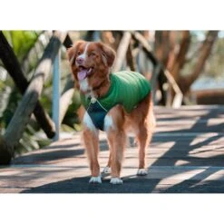 Red Dingo Mountains Stainless Steel Personalized Dog & Cat ID Tag 11 Red Dingo Mountains Stainless Steel Personalized Dog & Cat ID Tag -Blue Buffalo Shop 260330 PT1. AC SS1800 V1629733741